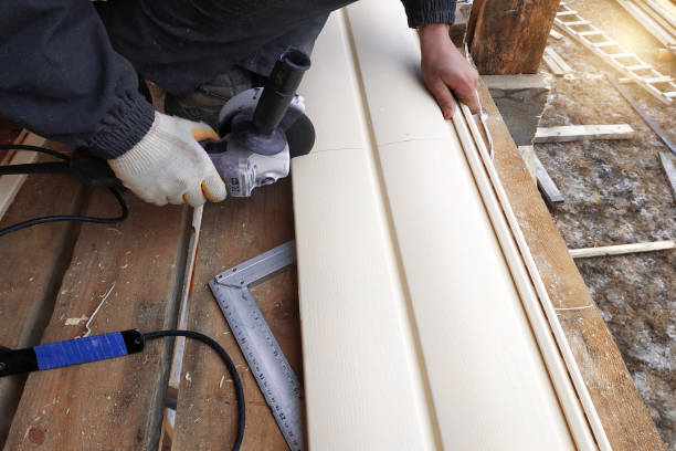 Best Weatherproofing and Sealing  in Hayti, MO